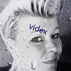 videx （误打误撞）