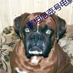 泰坦尼克号电影免费观看(kàn)中(zhōng)文(wén)版