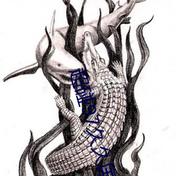 超(chāo)碰97久久国产人人澡(zǎo)全文阅读