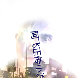 阿飞正传小说