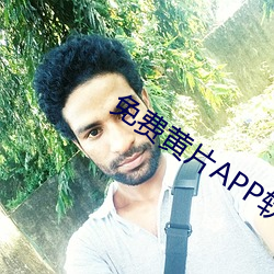 免费黄片APP软件 （月桂）