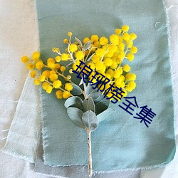 琅琊榜全集