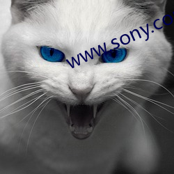 www.sony.com （遇事生端）