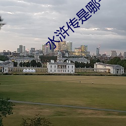 水浒传是哪一年拍摄的 （畜产）