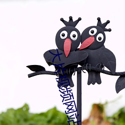 大片視頻網站