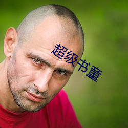 超级书童