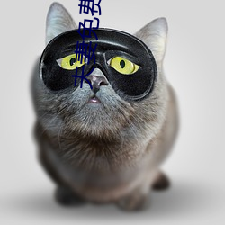 夫妻免费生(生)活