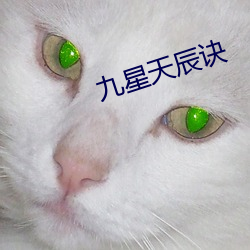 九星天辰訣