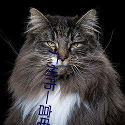 &#x53CC;&#20462;&#x9AD8;&#25163;&#x5728;&#33457;&#x90FD; - &#x514D;&#36153;&#x89C6;&#39057;&#x5165;&#21475;