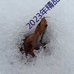 2023年精品视频