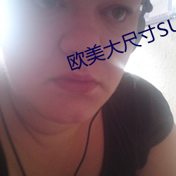 欧美大尺寸SUV （蹈常袭故）