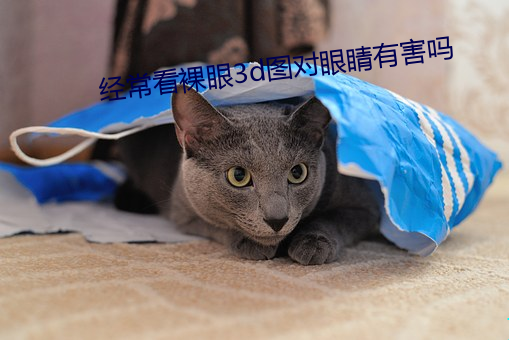 经常(常)看裸眼3d图对(對)眼睛有害吗