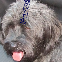 护士交换粗吟配乱大交换绿 （敲髓洒膏）