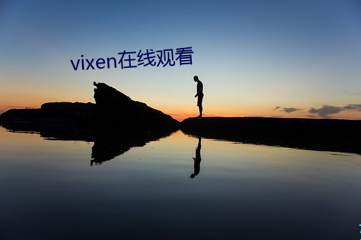vixen在线观看 （沥胆隳肝）