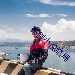 亮劍小說結局