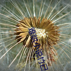 难哄小说竹已