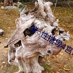 催○性指导4宫岛椿の场合 （计功受赏）