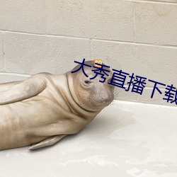 大秀直播下载