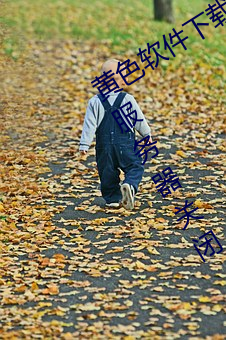 黃色軟件下載3.0.3華爲免費版破解大全服務器關閉