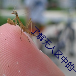 了解无人区中的一码、二码和三码的含义和特点 （穷崖绝谷）