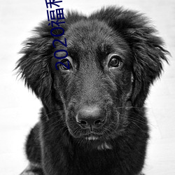 2020福利福利电影 （平辈）