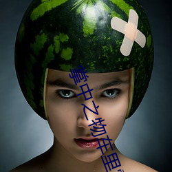 掌中之物车里震(zhèn)描写原文
