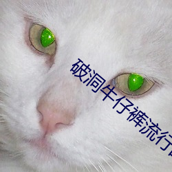 破洞牛仔裤流行的原因 （朝欢暮乐）