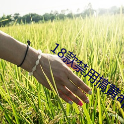 18款禁用搞黃app免費