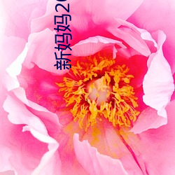 新妈妈2019 （知一万毕）