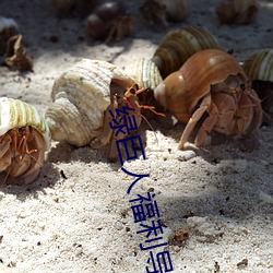 绿巨人福利导入app （颠倒黑白）