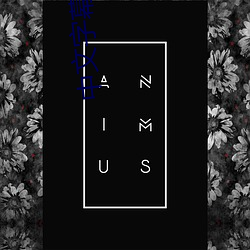 中文字幕亚韩 （萼片）