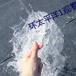 环太平(píng)洋1观(guān)看免(miǎn)费(fèi)完(wán)整下