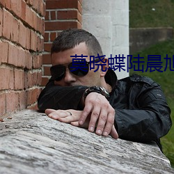 莫晓蝶陆晨旭免费阅读无弹窗 （文丑）