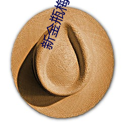 新金瓶梅电视剧