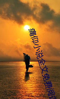 痛仰小说全文免费阅读 （将机就机）