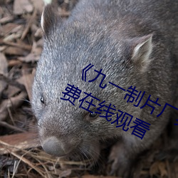 《九一制片廠果凍傳媒觀看》全集免費在線觀看