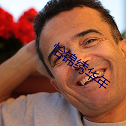 恰锦绣华(華)年(年)