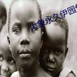 大象永久伊园甸2023 （攀高）