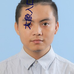 大象入口域名停靠 （低心下意）