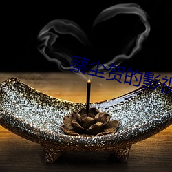 蔡(蔡)尘贺的(的)影视