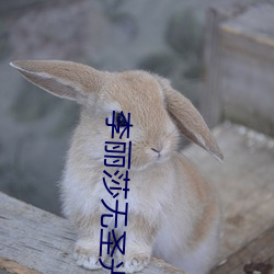 李麗莎無聖光原圖