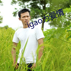 igao为爱情