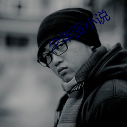 少年(nián)派小说