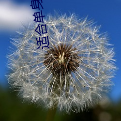 尊龙凯时-人生就是搏!