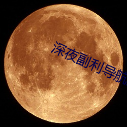 深夜副利导航系统