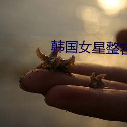 韩国女星整容前后