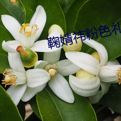 金年会 | 诚信至上金字招牌