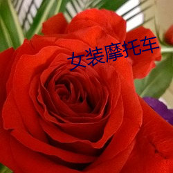 女装摩托车 （看点）