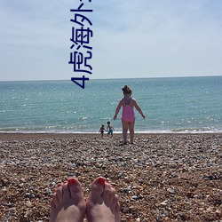 4虎海外永久自动跳转2022