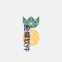 金蝶软(ruǎn)件